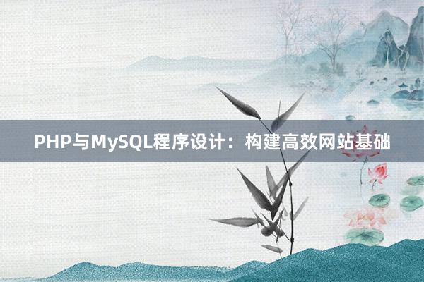 PHP与MySQL程序设计：构建高效网站基础